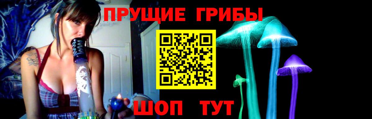 Зерноград  Галлюциногенные грибы Psilocybe  Псилоцибиновые грибы ЛСД  Вход с VPN 
